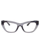 Dolce & Gabbana Dark Grey Injectate Glasses