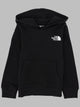The North Face Teen Simple Dome Light Reg Hoodie Cedar