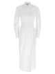 Max Mara 'Balzac' Dress
