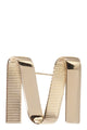 Max Mara Mgrosgrainpin - Metal M Pin