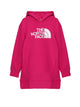 The North Face "Graphic Relaxed" Sweatshirt