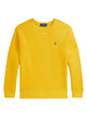Polo Ralph Lauren Jersey With Logo