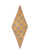 Burberry "Check" Scarf