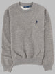 Polo Ralph Lauren Felpa Con Logo
