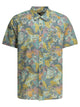 Patagonia Shirts