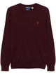 Polo Ralph Lauren Slim-Fit Washable Wool Crew Neck Jumper