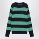 Polo Ralph Lauren Navy Blue/Green Striped Cable Knit Sweater