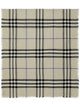 Burberry Lightweight Lichen Wool Scarf
