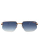 Carrera Black White Metal Sunglasses