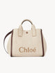 Chloé Carry Shoulder Bag