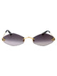 Cartier Cartier Ct0433s 001