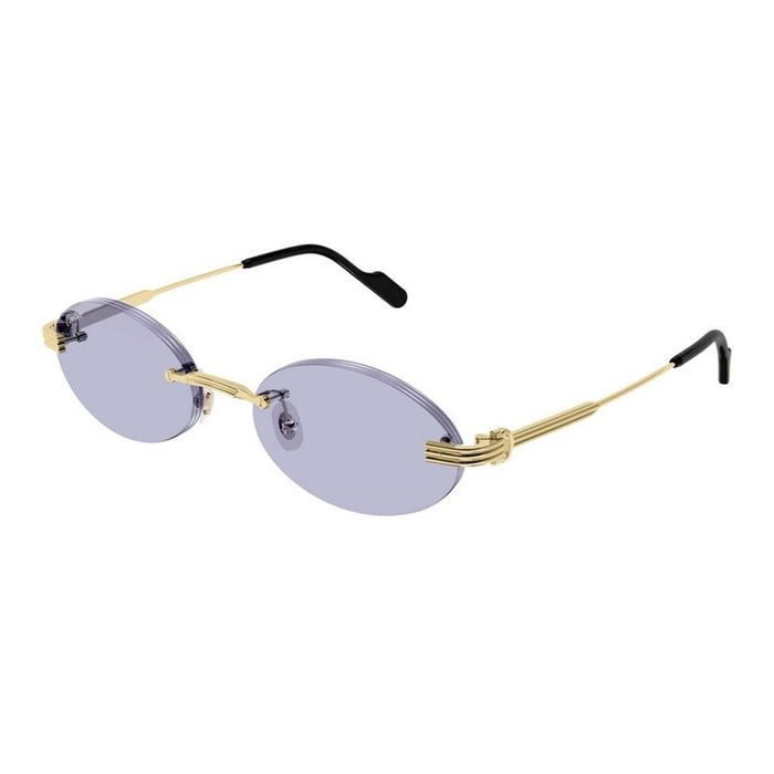 Cartier Cartier Ct0615s 009