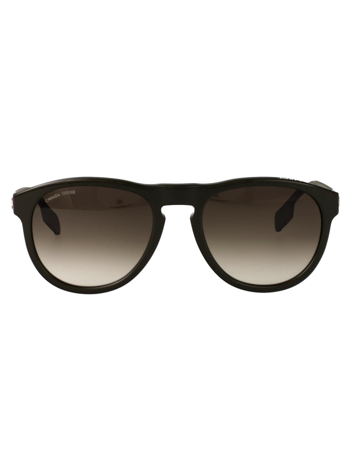 Canada Goose Medium Green 6 Acetate Sunglasses