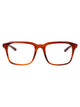 Gucci Havana-Havana-Transparent Acetate Glasses