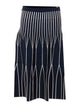 Elisabetta Franchi Blue Skirt
