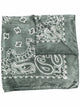 Golden Goose "Golden Foulard Paisley" Print Silk