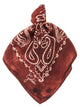 Golden Goose Paisley Scarf