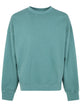 Carhartt Wip "Benton" Cotton Sweatshirt