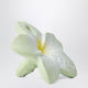 Oli&Carol Bali Flower Mini Teether