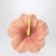 Oli&Carol Iris Hibiscus Baby Teether