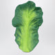 Oli&Carol Kale-Shaped Baby Teether