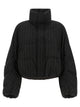 Brunello Cucinelli Micro Sequin Pinstriped Crop Down Jacket