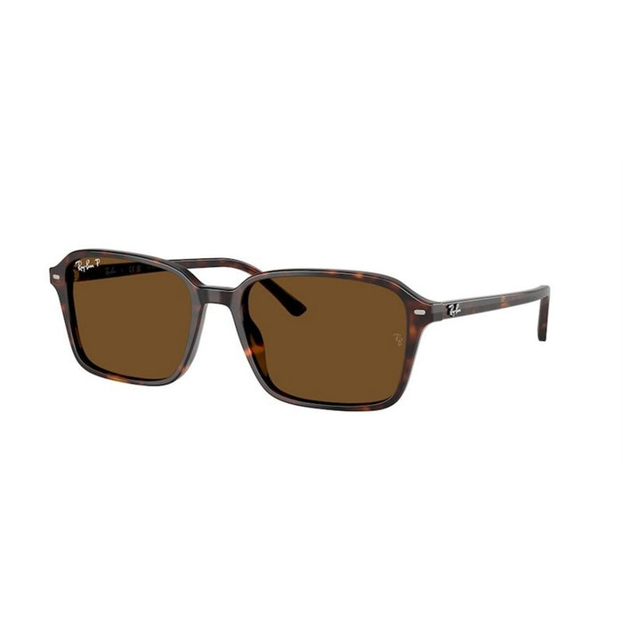 Ray-Ban Ray-Ban Raimond Rb2231 902/57