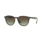 Ray-Ban Ray-Ban Rb4259 731/E8