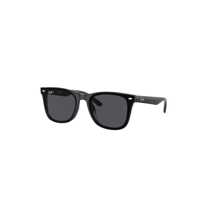 Ray-Ban Ray-Ban Rb4420 601/87