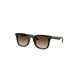 Ray-Ban Ray-Ban Rb4420 710/13