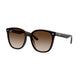 Ray-Ban Ray-Ban Rb4423d 714/13