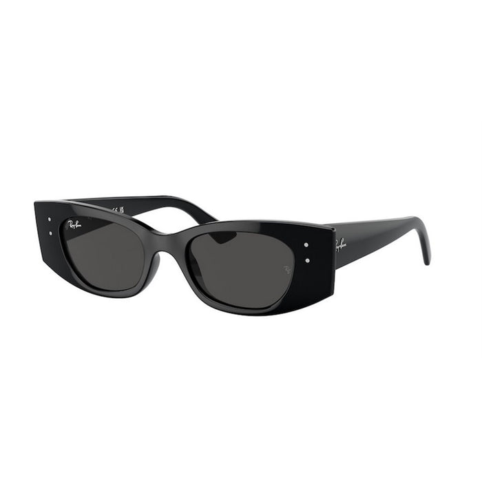 Ray-Ban Ray-Ban Kat Rb4427 667787