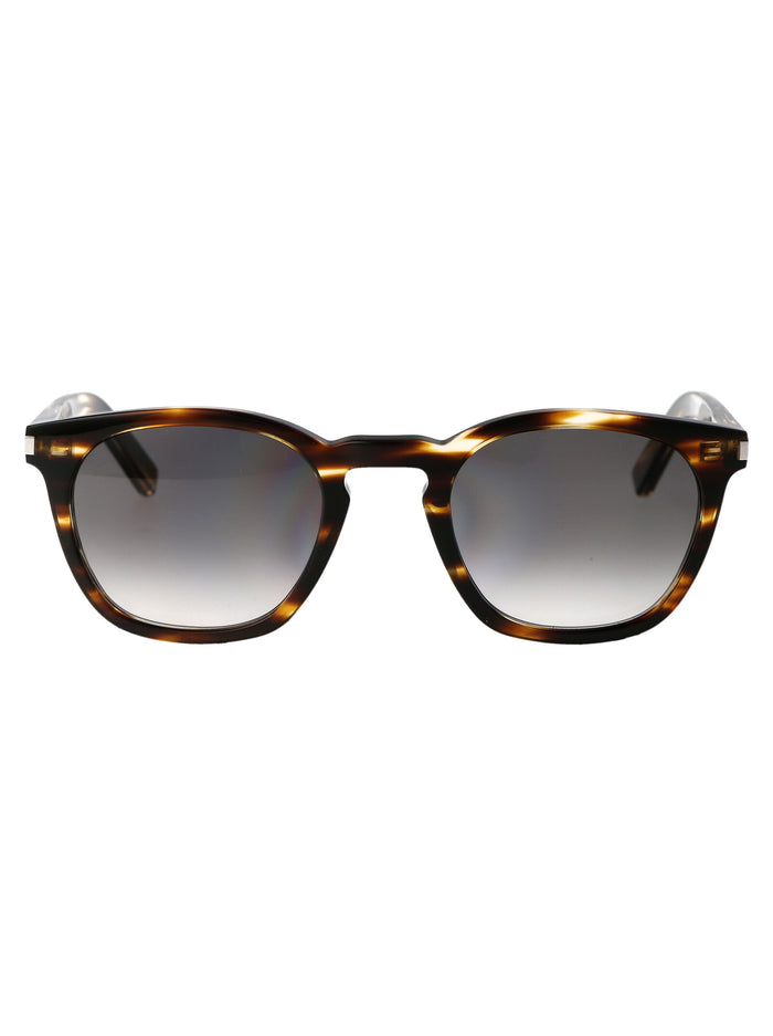 Saint Laurent Acetate Havana Sunglasses