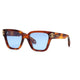 Roberto Cavalli Havana Chiara Acetate Sunglasses