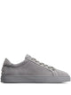 Tod's Sneakers In Suede Leather