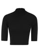 Maxmara Title: Mxscanale - Cropped High-Neck Viscose Knit Top