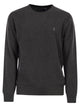 Polo Ralph Lauren Wool Crew Neck Jumper