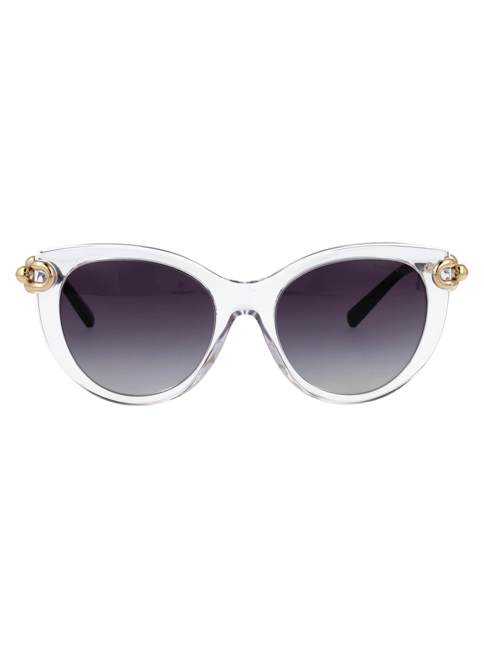 Tiffany & Co Transparent Acetate Sunglasses