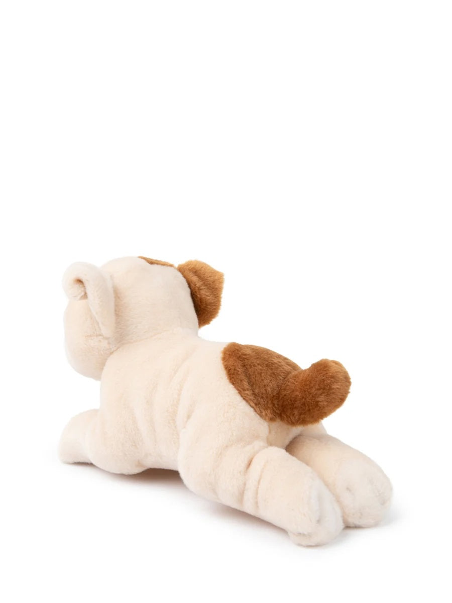 Bon Ton Toys The American Bulldog In Giftbox
