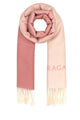 Salvatore Ferragamo Sciarpa