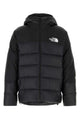 The North Face U Nse Down Puffa Jacket