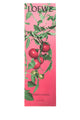 Loewe Loewe Incense Pack Refill Tomato Leaves