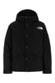 The North Face M Mountain Down Jacket