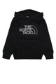 The North Face Teen Drew Peak Light Reg Hoodie