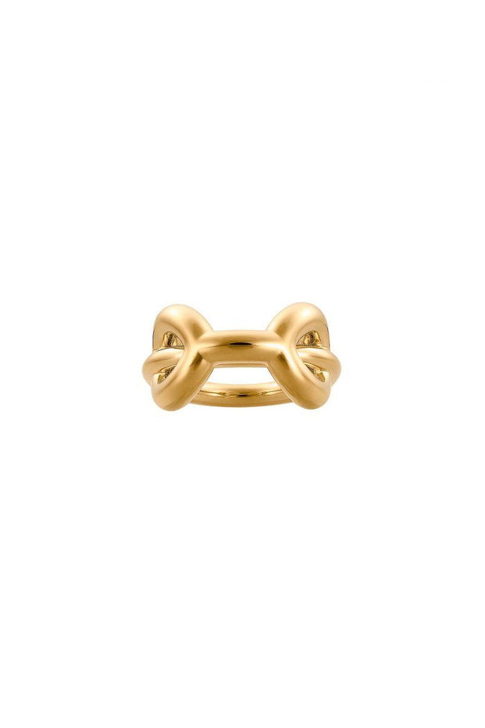 Charlotte Chesnais Binary Chain Ring