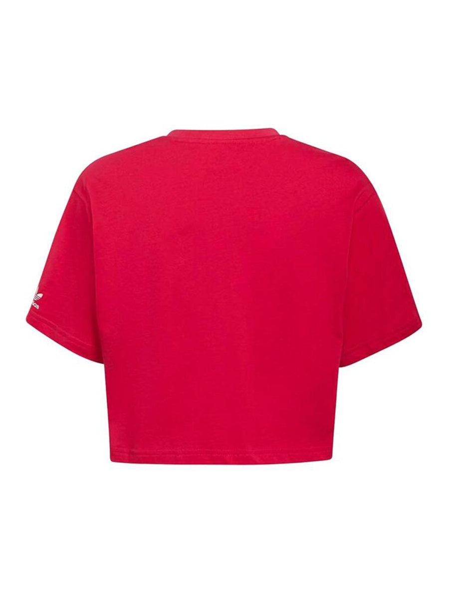 Adidas Originals Cropped T-Shirt