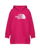 The North Face "Graphic Relaxed" Sweatshirt