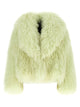 Blancha 'Mongolia' Fur