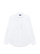 Paul & Shark Camicia In Cotone