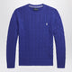 Polo Ralph Lauren Bright Blue Crew Neck Sweater With Braids